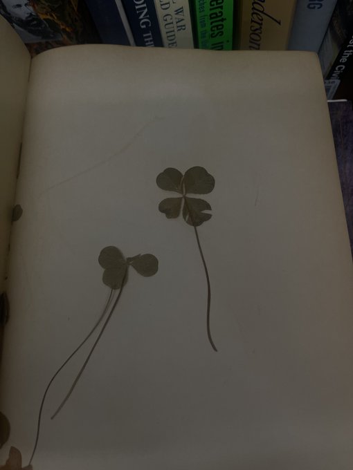 saw a four leaf clover from 1930 something pressed in a book today. it made me happy. https://t.co/C
