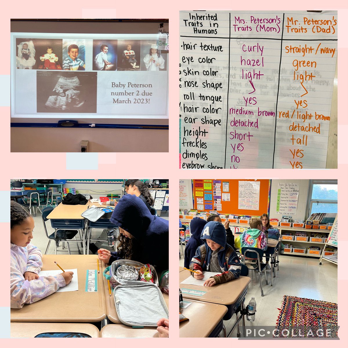 MrsPeterson3rd's tweet photo. 1 of the culminating activities for our #traits unit was to determine what traits Baby Peterson #2 might have. Students  did an awesome job applying their knowledge about #inheritedtraits, #variation, #environmentaltraits, and #learnedtraits! #3rdgrade @sps_bates @SalemSchoolsk12 https://t.co/B2Fr4xdzxx