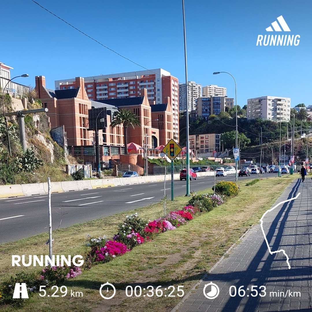 ChemicalBitter's tweet photo. I listened to my brain, but not this time, I needed some shot of running.
#adidasrunning #running #inacapvalpo https://t.co/NiSfPD0DyJ