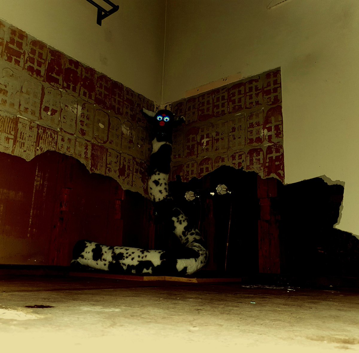 ғᴜʀᴇᴠᴇʀ ᴄᴜʀsᴇᴅ tweet media