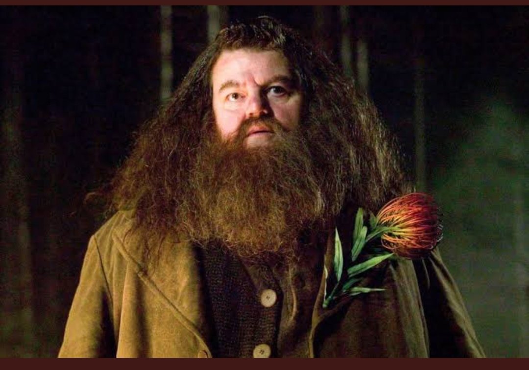There's no Hogwarts without you, Hagrid!🖤