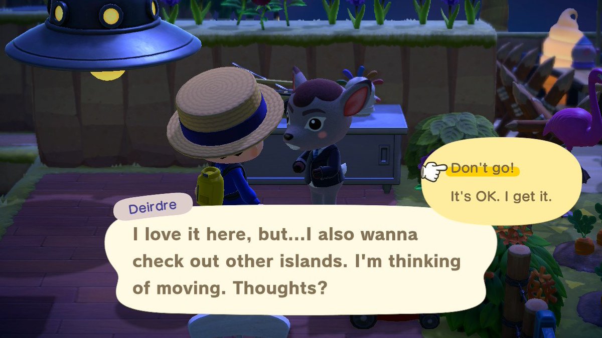 Ellis Ates tweet media