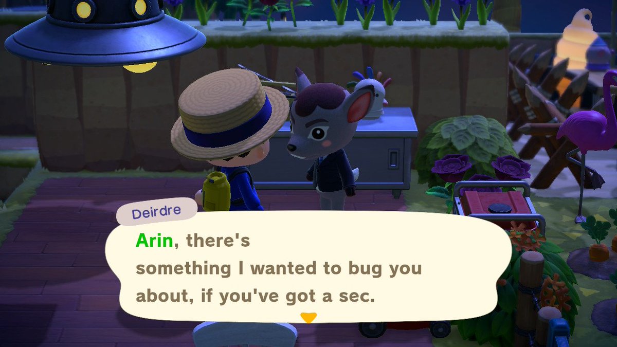 Ellis Ates tweet media