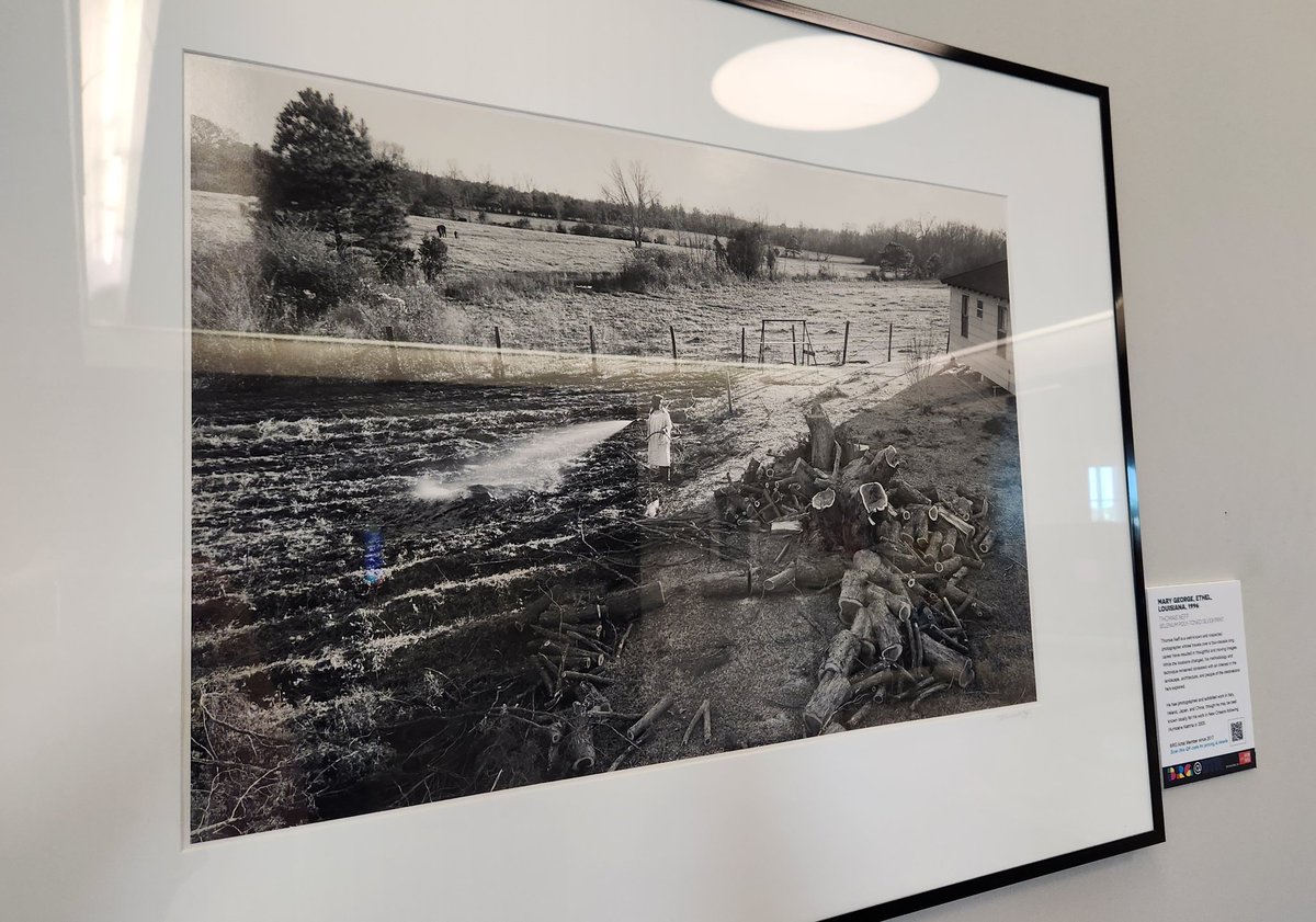 dr_angryfossil's tweet image. Some wonderful art at the @BTRairport thanks to the @BRGallery. What a pleasant surprise.