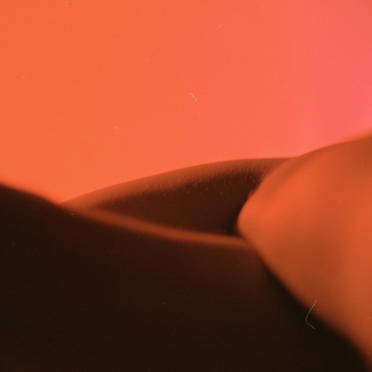 insvin's tweet image. horizons