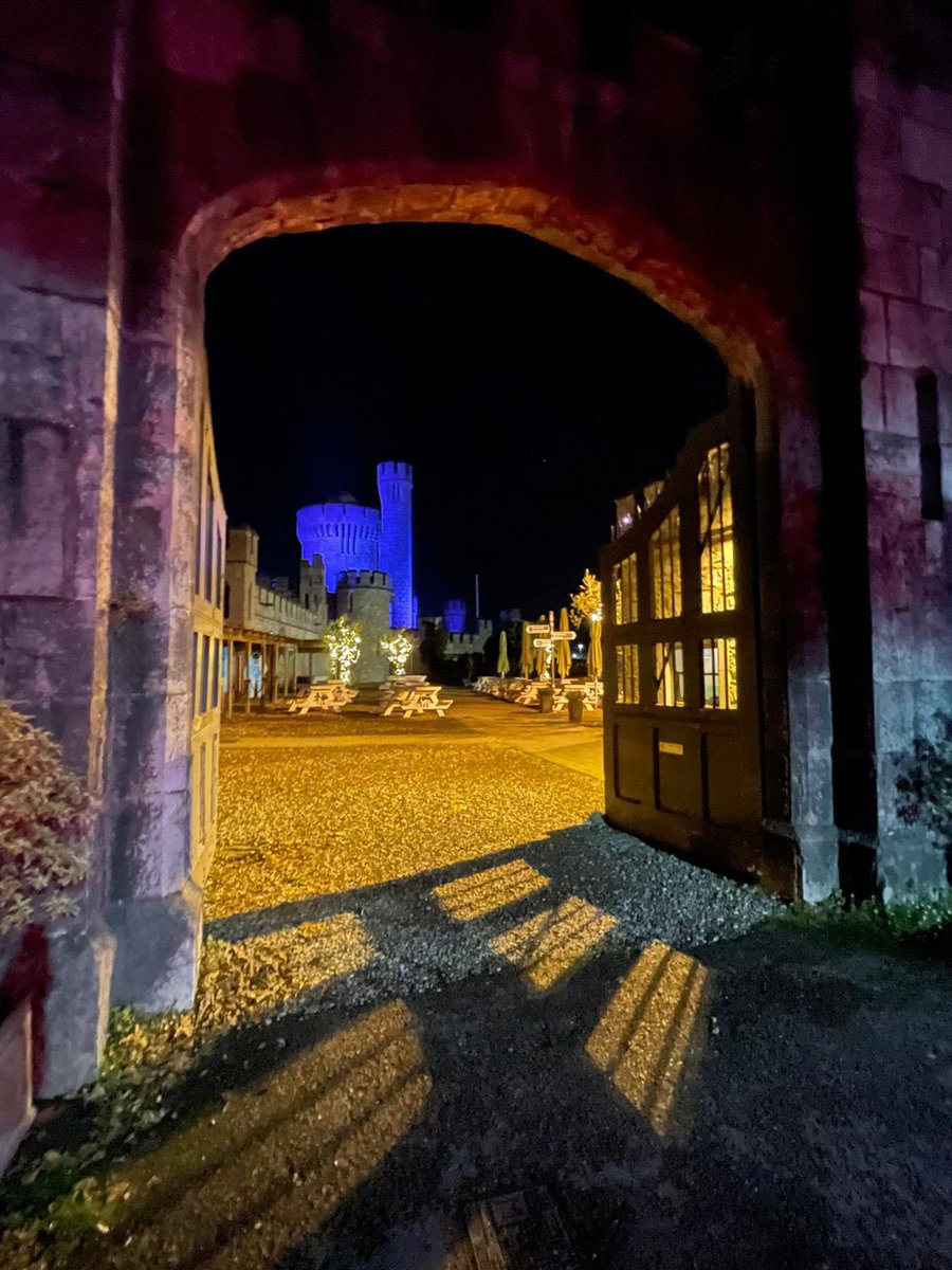 Glowing brightly against the night sky majestic <a href="/blackrockcastle/">MTU Blackrock Castle Observatory</a> shining a spectacular light for <a href="/RADLDcam/">RADLDcampaign</a>  raising awareness of #devlangdis #GrowingwithDLD 💜💛🌻 Thank you <a href="/AlanGiltinan/">alan giltinan</a> &amp; all the team for your enthusiasm supporting #DLDday <a href="/iaslt/">IASLT</a> <a href="/irishexaminer/">Irish Examiner</a> 📸<a href="/oneillemmet/">Emmet O'Neill</a>