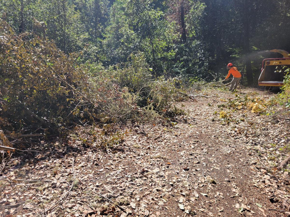 sonomaopenspace's tweet image. “The [2017 fires] led to a great awakening that we were ill-prepared to handle something like that,” said Kim Batchelder, County veg mgmt coordinator. “Now, we are trying to put ourselves in a situation where we are more proactive.” Learn more via: campsite.bio/sonomaopenspace