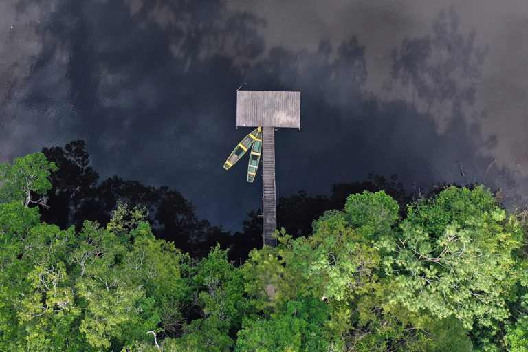 redlisteco's tweet photo. The force is strong with space lasers helping researchers map the Amazon in 3D 

Click here to read article 👇
https://t.co/yBn2RlM8Ve 
via @mongabay 
#amazonforlife #protect80X25 https://t.co/vWjE5kwHRw