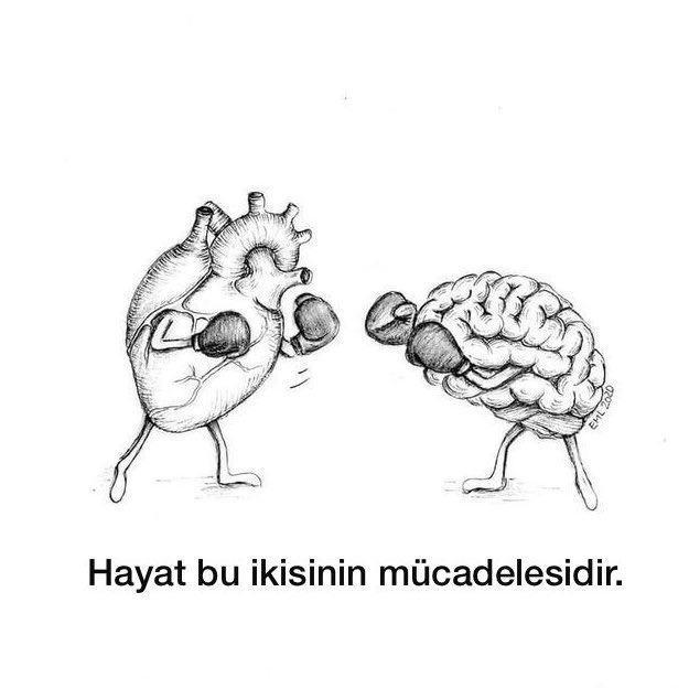 Hangi taraftasınız ?