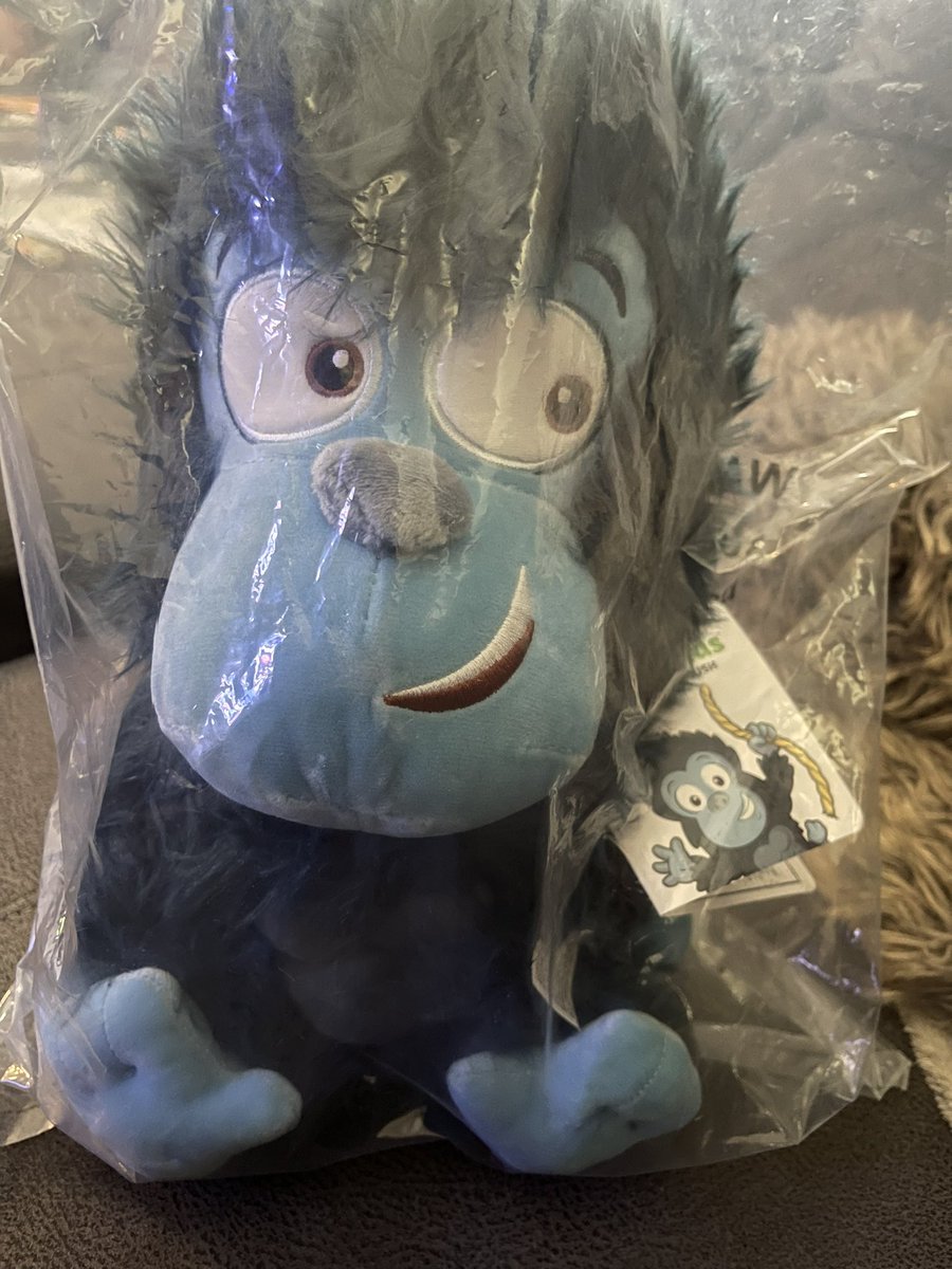 Michael88059543's tweet photo. Just got my gratitude gorilla just in time for macys Chicago G @garyvee https://t.co/mZGCrifK9o