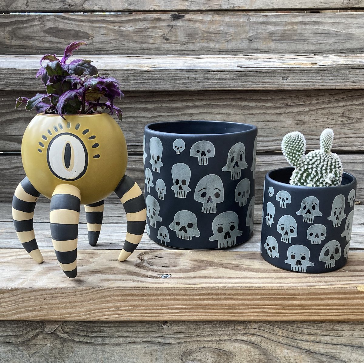 More Pet-Friendly Houseplants in Stock - mailchi.mp/cultivateurban…