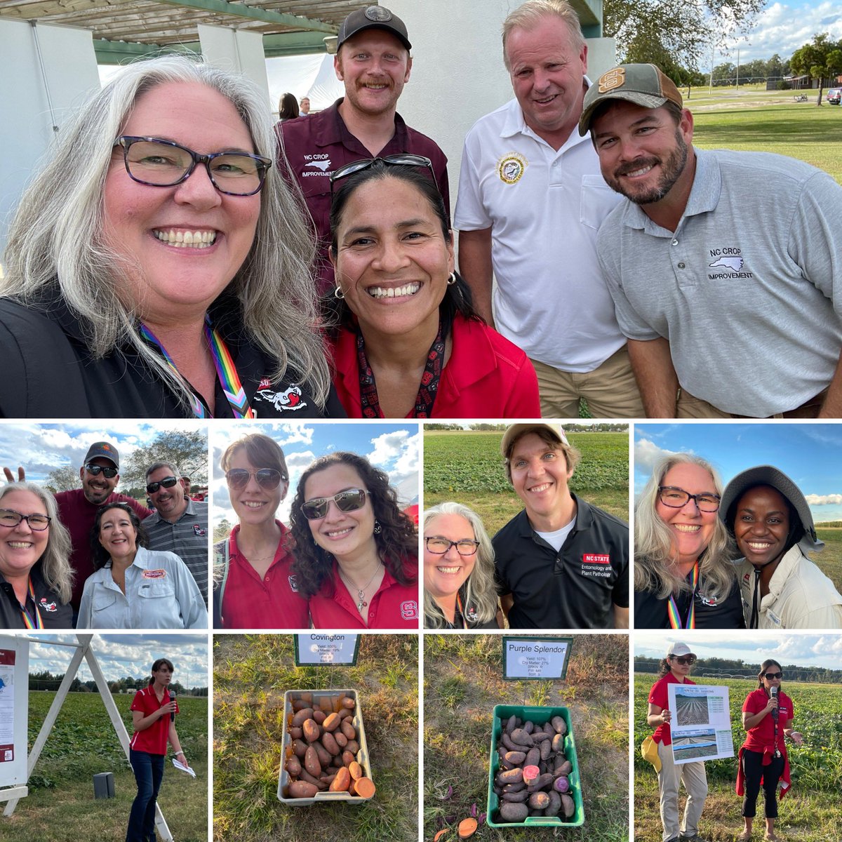 KiwiYoung's tweet photo. Getting to know the #sweetpotato community at the field day. Lots of people here who make sure we have #NCsweetpotatoes on our plates! It takes an incredible interdisciplinary team to produce such great quality. @NCStateCALS We #ThinkAndDoTheExtraordinary https://t.co/swsT27h5Qz