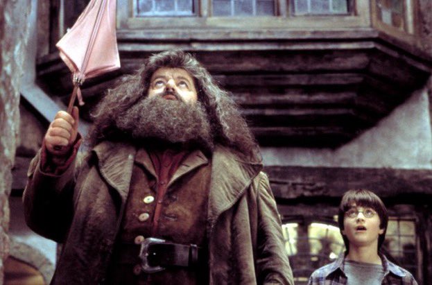 El_Traslador's tweet photo. Hagrid nos abrió la puerta del mundo mágico. Nos convirtió en magos y ahora nosotros a él en eterno. https://t.co/EfIzmfI5Nb