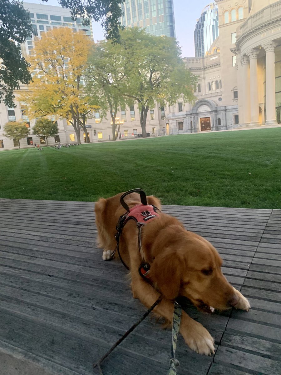 Soya Park tweet media