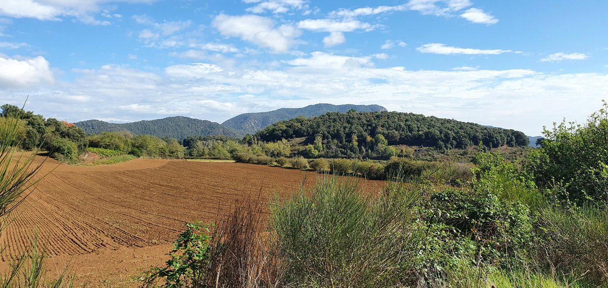 crispinsgeodept's tweet photo. A day spent in Garrotxa National Park looking at volcanoes and lava 🌋 #Year13 #fieldwork #lovegeo @crispinsschool  @Crispins6thForm  @GeofieldworkLtd https://t.co/CPkJpUv7D2