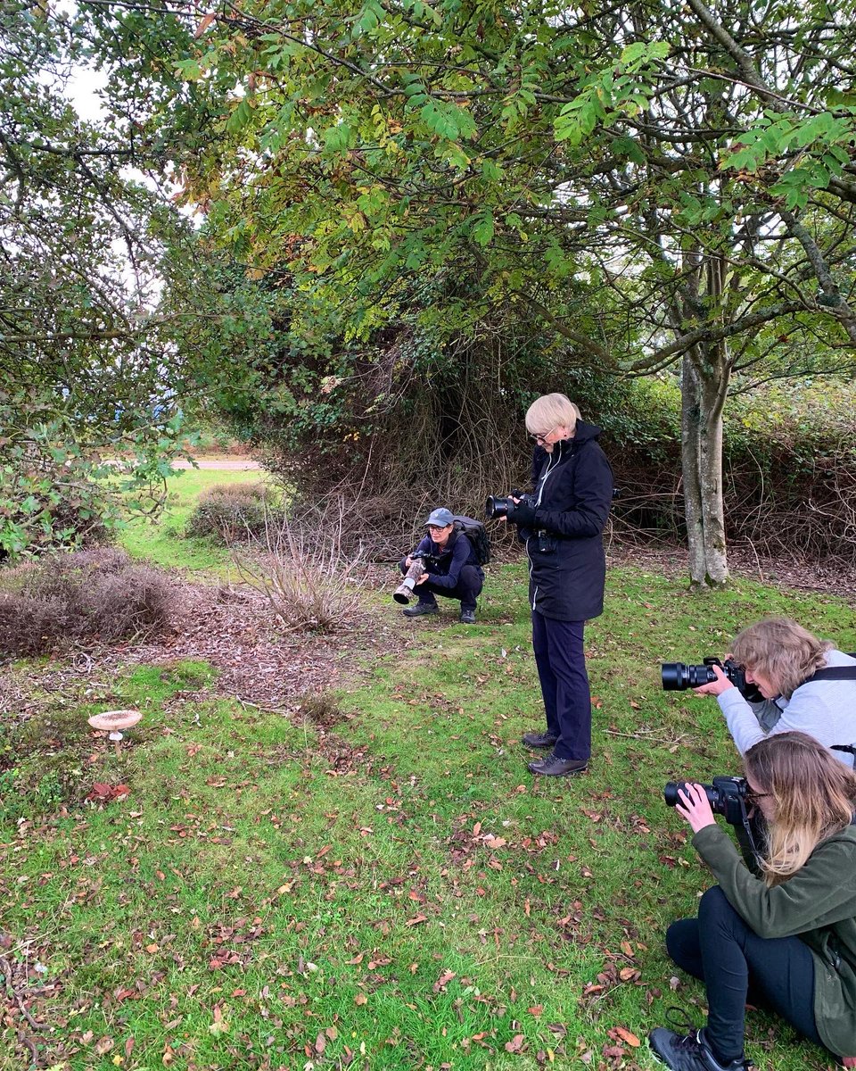 This weekend I am very excited to be staying at the beautiful Brownsea Island with the Dorset Women’s Nature Photography group and <a href="/lucymorriswild/">Lucy Jane Morris</a> to keep me company!

I can’t wait to see what the weekend has to bring and to explore more of the island!