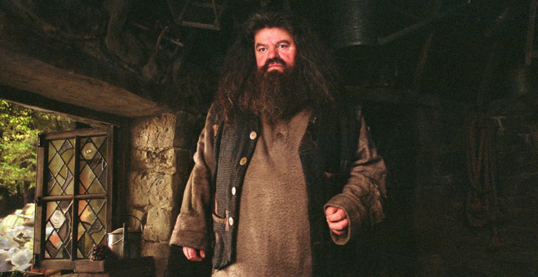 celllliiiaa's tweet photo. there is no Hogwarts without you Hagrid 🤍 #RestInPeaceHagrid https://t.co/CMpRe84V39