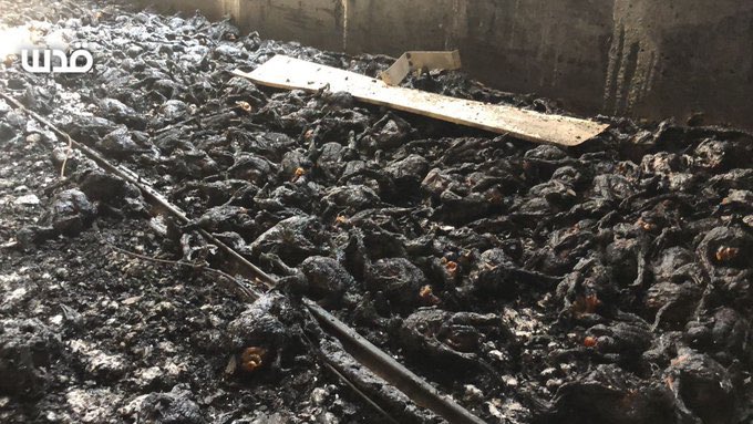 islamculturel's tweet photo. 🇵🇸 FLASH - Des colons juifs ont mis le feu à une ferme palestinienne près de la ville de Naplouse en Cisjordanie occupée, tuant 30.000 poulets. https://t.co/aPBfRZgU4i