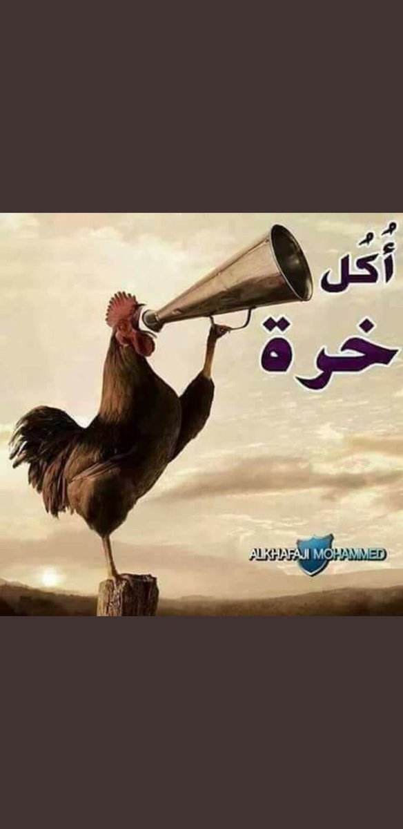 Cr7Muqdad's tweet photo. @A_N_Mk https://t.co/nwiZz1zJwG