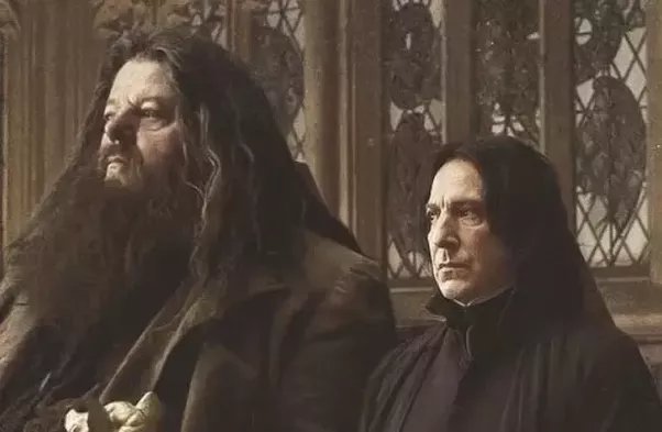 Hagrid and Snape, together again.

#RIPRobbieColtrane #HarryPotter