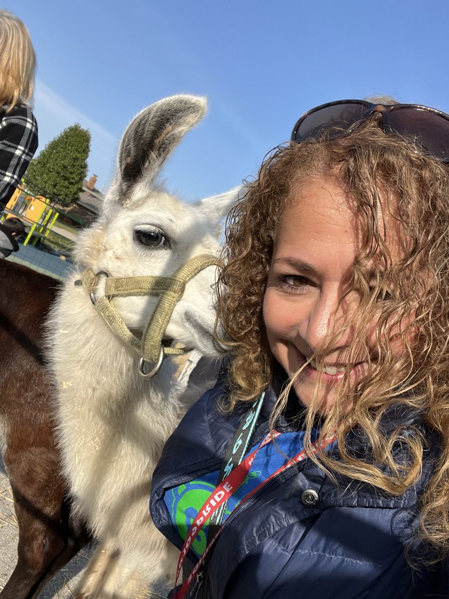Amal_Player's tweet image. Petting zoo @PlayerSchool was so much fun for our prekinders .. my favorite was Frida the 🦙 she gave me a 💋 after chewing my hair 😂
