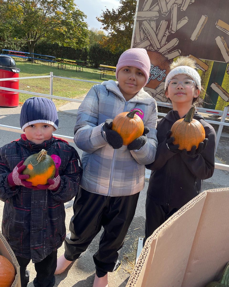 KinderKollegePS's tweet photo. Picking pumpkins!! π #fieldtriptothefarm #fieldtrip #pickingpumpkins #pumpkins #kkps30 https://t.co/rvxXXCwed9
