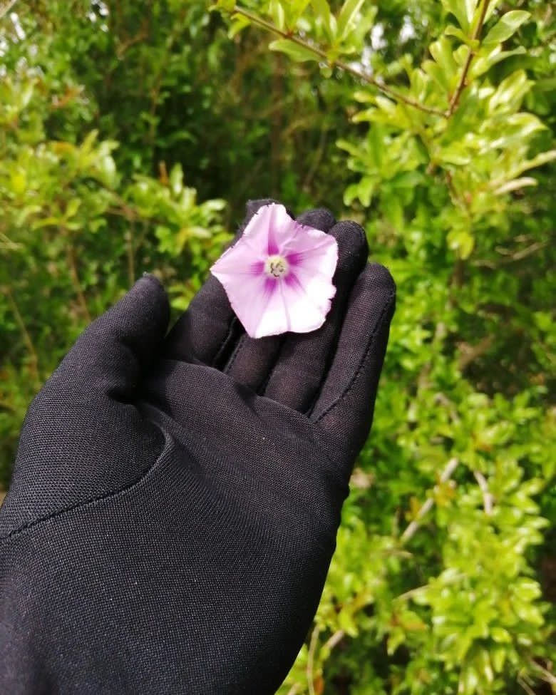 سَيستجيب .. ما دُمتَ تؤمن أنه سَيستجيب."💗✨