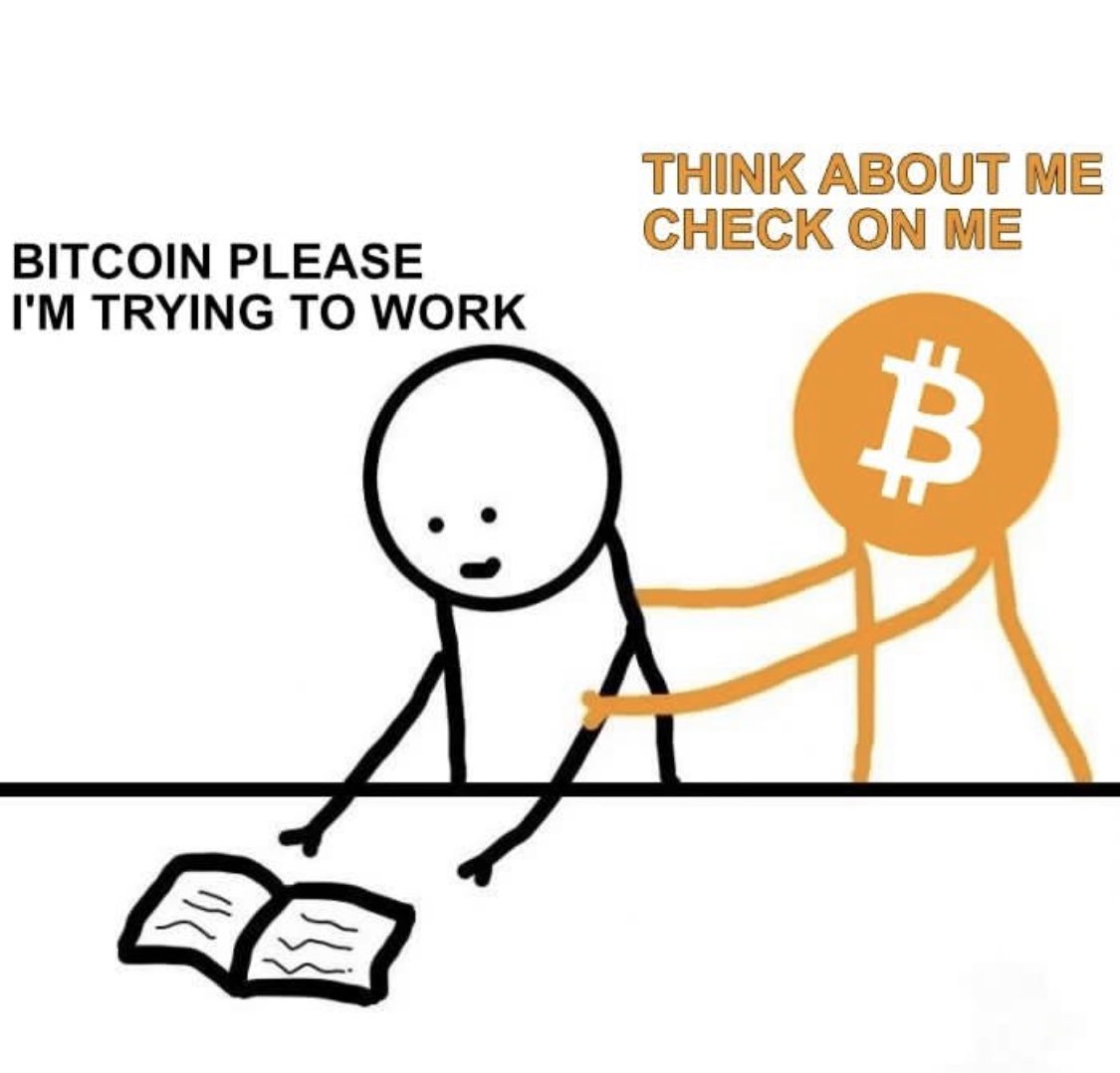 muv_moon's tweet photo. This is my whole crypto portfolio… it doesn’t stop! https://t.co/rQnYIf4j9P