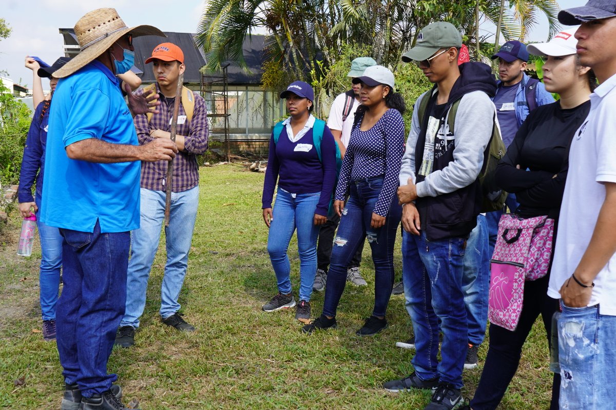 PalmiraUNAL's tweet photo. 📸#SedePalmira | Banco de germoplasma de plantas medicinales con el profesor Armando Zapata Valencia en el Centro Experimental de la Universidad Nacional de Colombia (#CEUNP).
El centro cuenta con campos de experimentación en cultivos dispuestos a la formación e investigación. https://t.co/sf5v8yUdkE