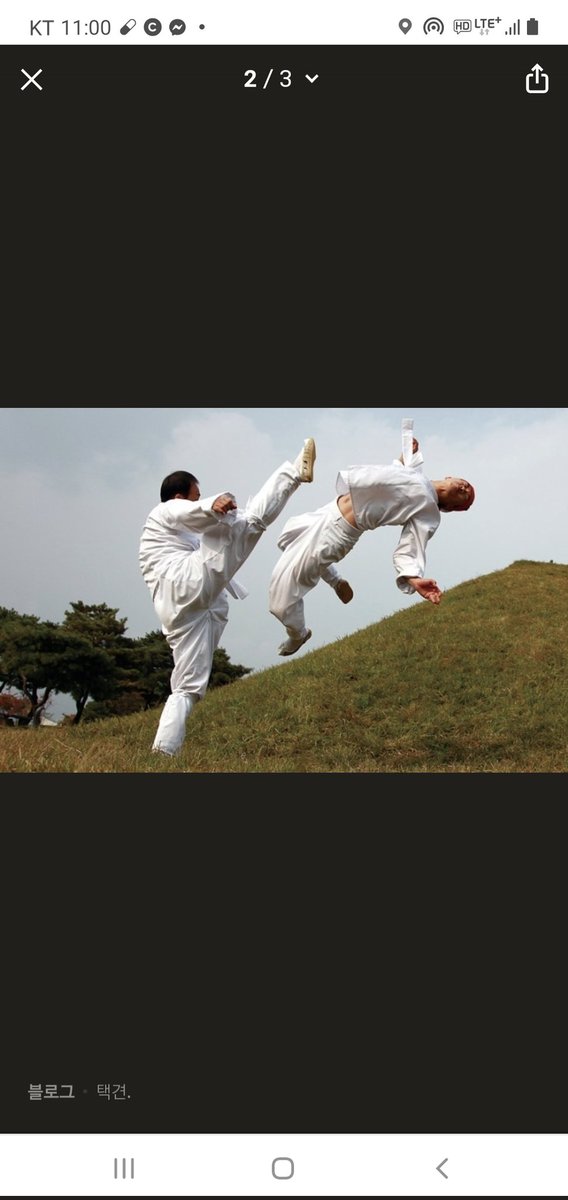 I signed up for Taekkyeon Studio to exercise with my husband.  Taekkyeon is a traditional Korean martial art.