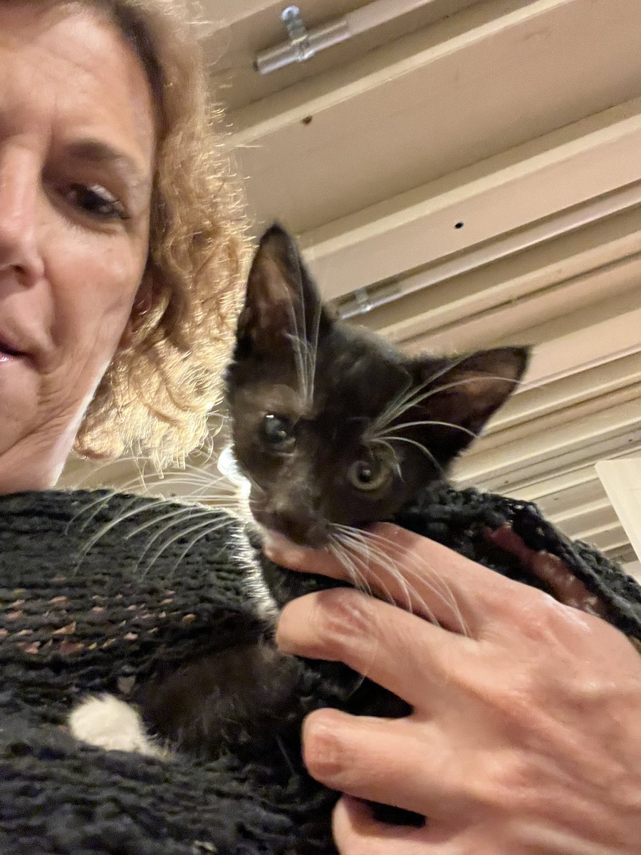 Teresa Genaro tweet media