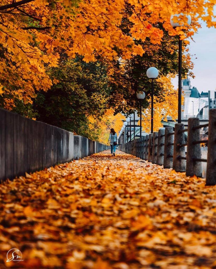 Walking along the Rideau Canal 🍁🍂
_______
#explorecanada #paradisecanada #myottawa #ottawaphotographers #ottawatourism #urbacanada #facesottawa #livelovecanada #longexposurephotography #ottawa_instaphoto #ottawasworld #outaouaisfun #enjoycanada #raw_… instagr.am/p/Cjt1fHgDmfi/