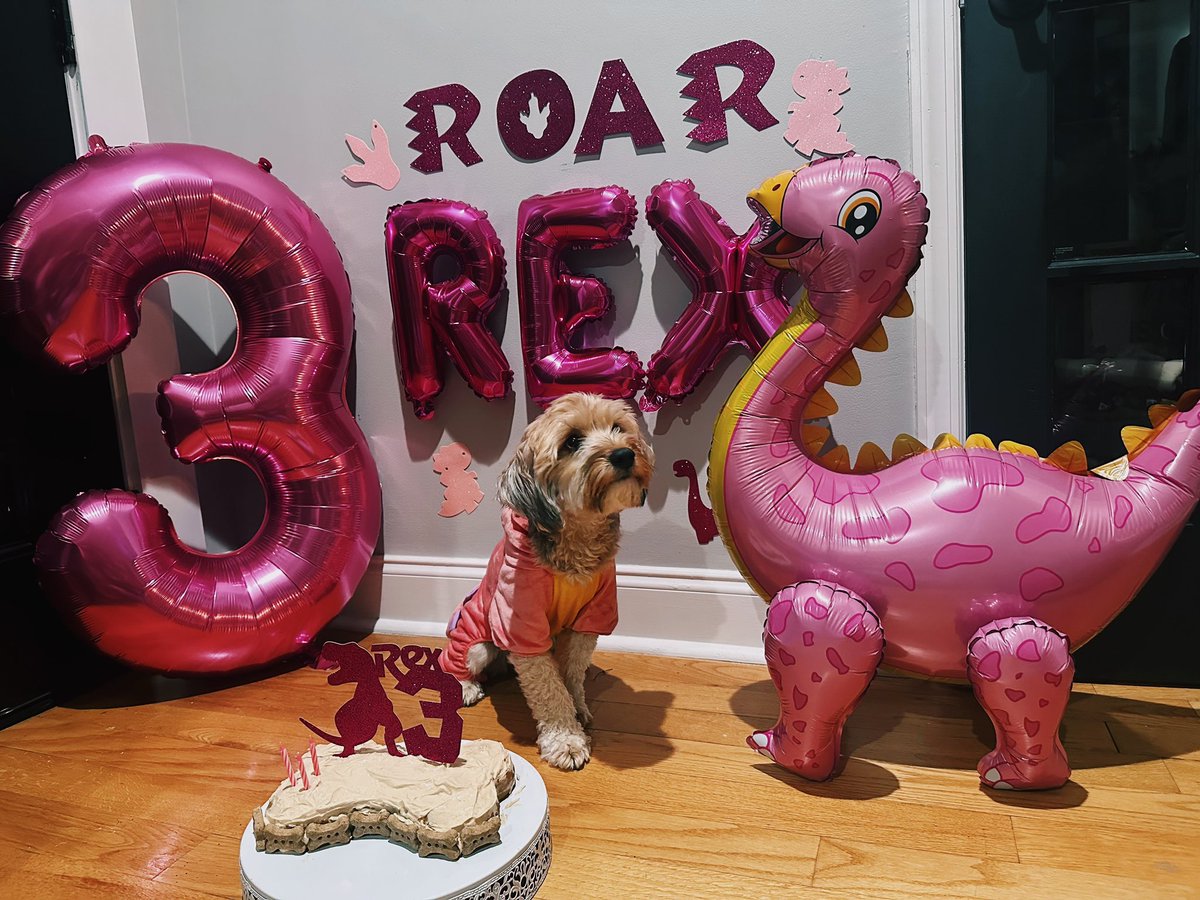 emoraless_'s tweet photo. My mama turned 3 today π«ΆπΌ yes, Iβm obsessed with her π₯Ή #threerexπ¦ https://t.co/hNhcIojyg3
