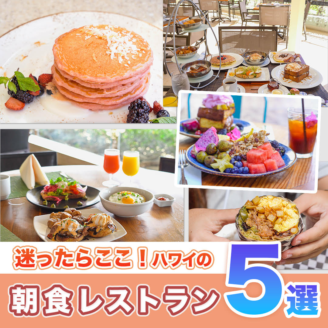 #ハワイ の朝はここで決まり🥞🍴 リピートしたくなる #ワイキキ のおすすめ朝食レストラン5選をYouTubeでお届けします🌺🌴

youtu.be/j3q3HxkjV1A

#ハワイ旅行 #ハワイ観光 #ハワイ大好き #ハワイ好きな人と繋がりたい #ハワイグルメ