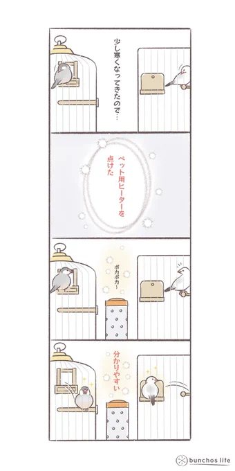 昼間も少し寒そうだったのでヒーター付けたら何気に定位置が変わる文鳥達✨
#文鳥 
#bunchoslife 
#4コマ漫画 