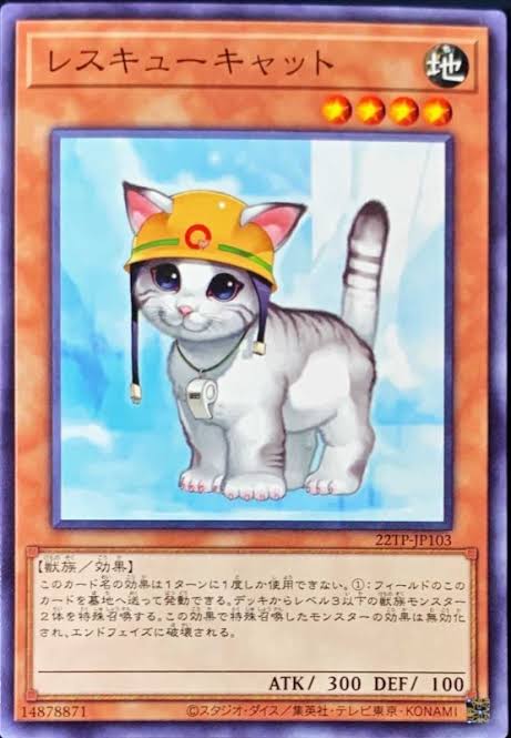 cat_yotuber's tweet photo. レスキューキャット
#ハルトォォォオオオ https://t.co/FTXq3inoBn