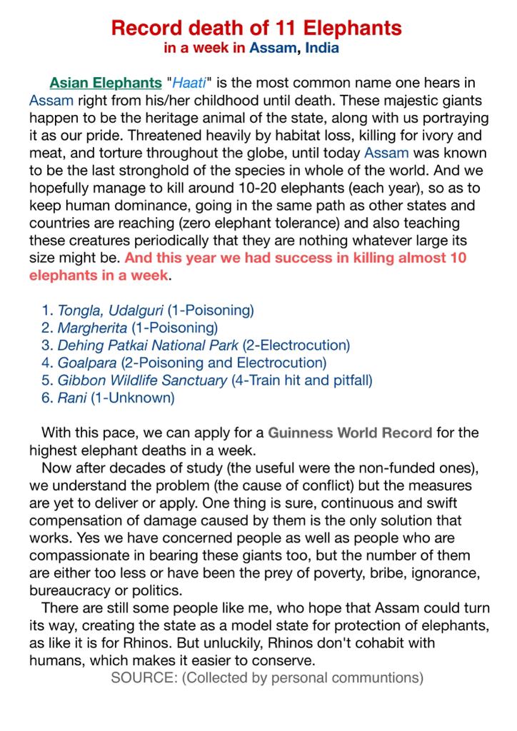 Dipankar Borah tweet media