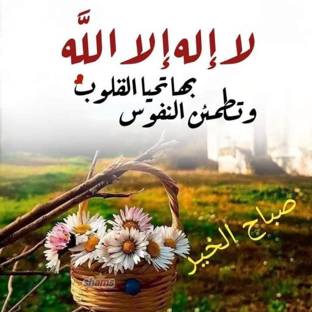 صباح النور والسرور عليكم كلكم ❤🌹