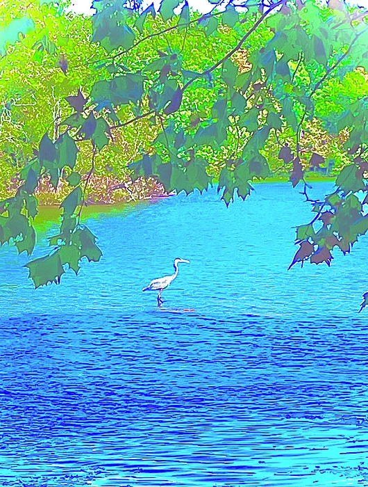 SabalaKing's tweet photo. New artwork for sale! - "Egret" - https://t.co/CM4yYUJk8K @fineartamerica https://t.co/Fa3aXumZTF