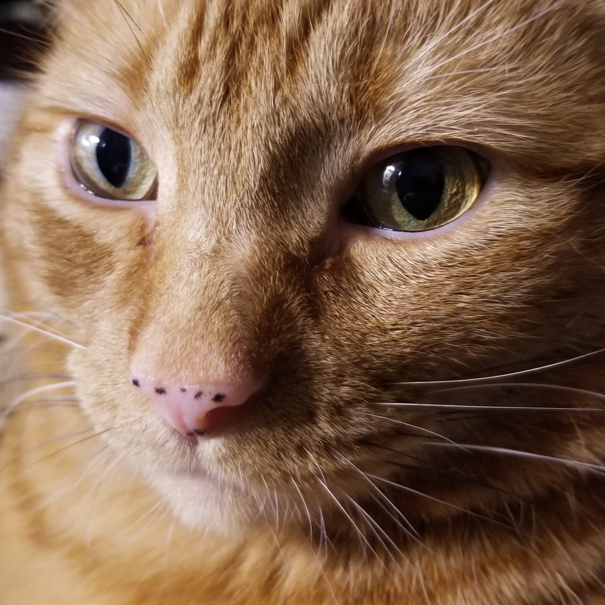 dispatchdudeAB's tweet image. #NewProfilePic