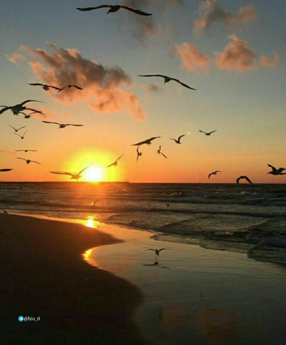 صباح الخير ؛ يكفيك أن تستيقظ بخير لا يقف على رأسك طبيب ولا يبكي بجانبك صديق ولا يضعف جسدك لتأخير دواء،فلا تنسى أن تشكرالله.