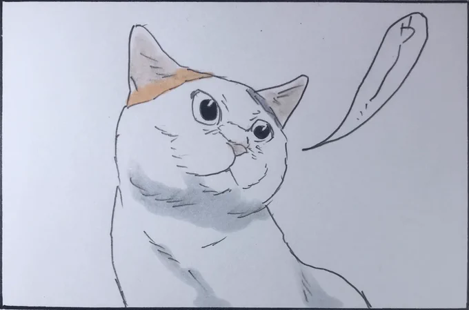 『モチャを奏でるノリ吉』 