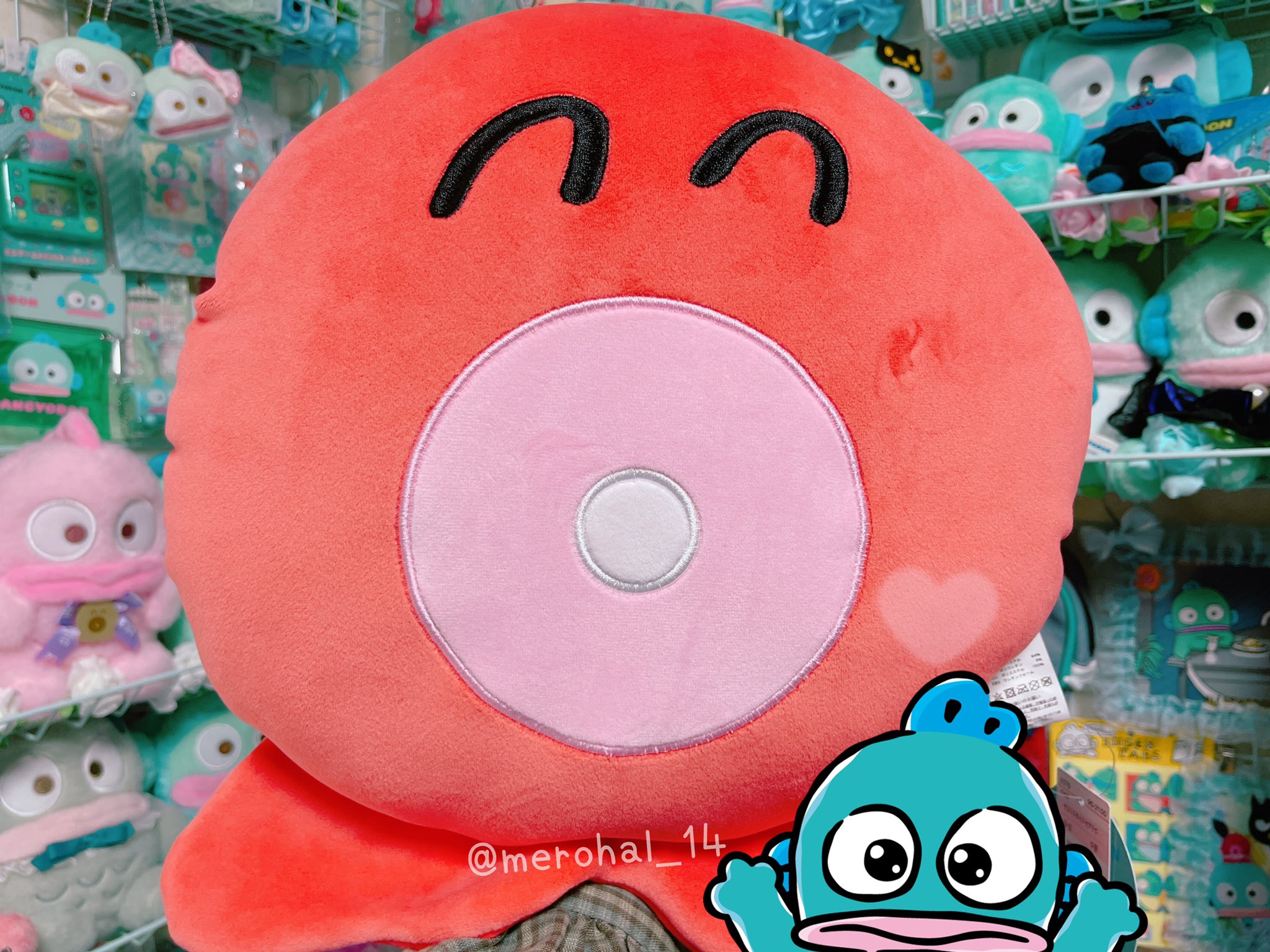 かしも🐟🐙@今年はYouTube頑張ります على X: 