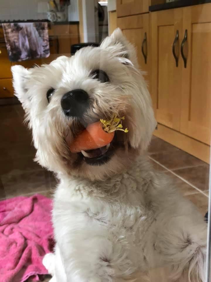 Helen Chambers tweet media