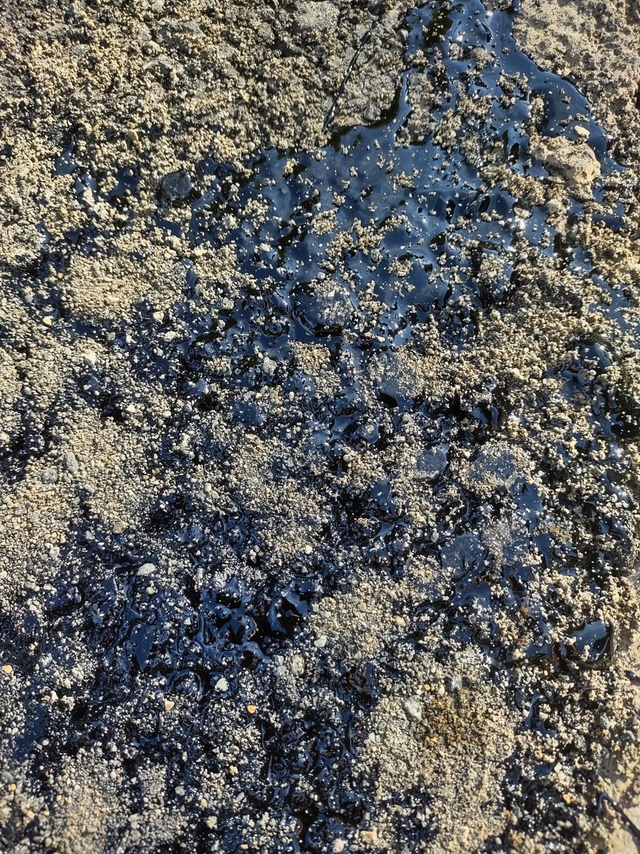 Meth In June tweet media