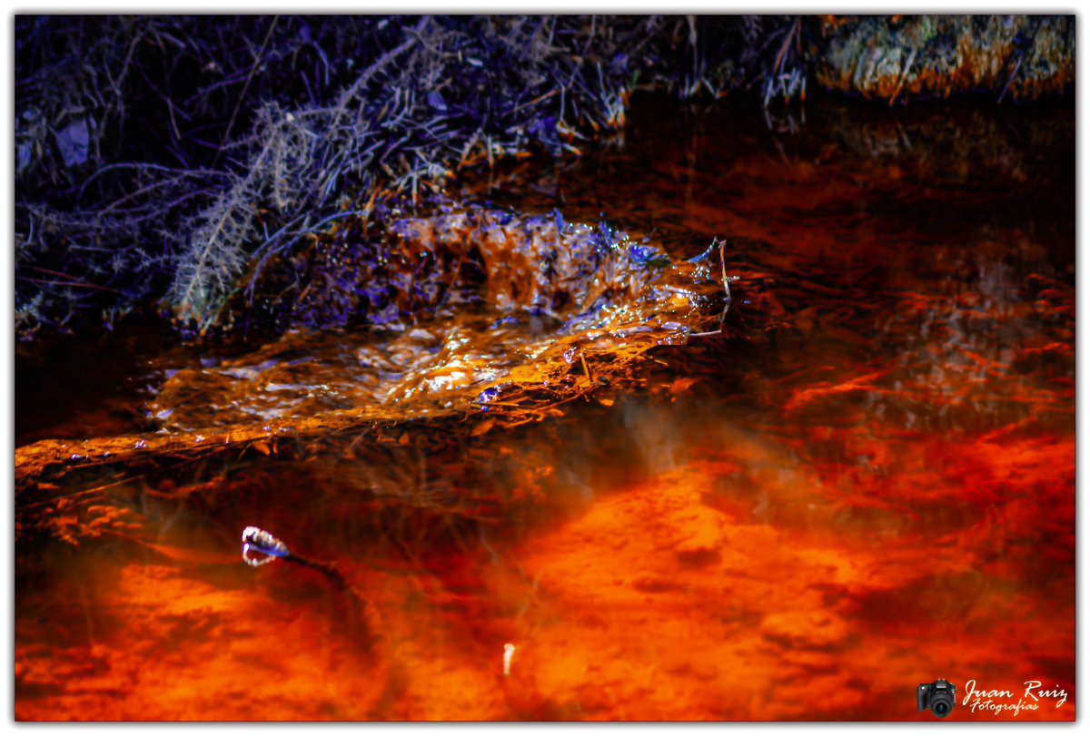 "La belleza es la grandeza en pos de reverencia ante la humildad." Regata de Algaidas. #lazarza#huelva.