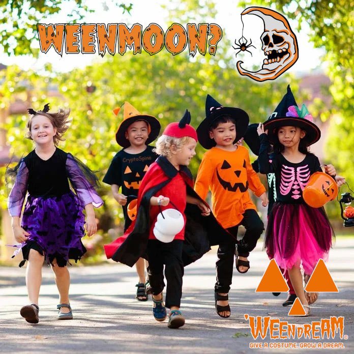 William Davis tweet media