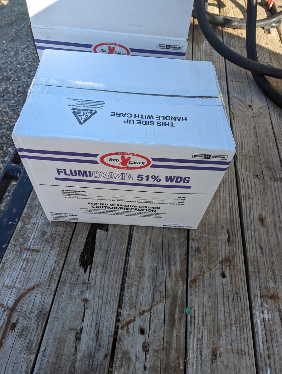 PhillipWanner's tweet photo. Pulled the trigger today. It's about to get chilly! #krushkochia #firstwinter https://t.co/alZ134nbEG