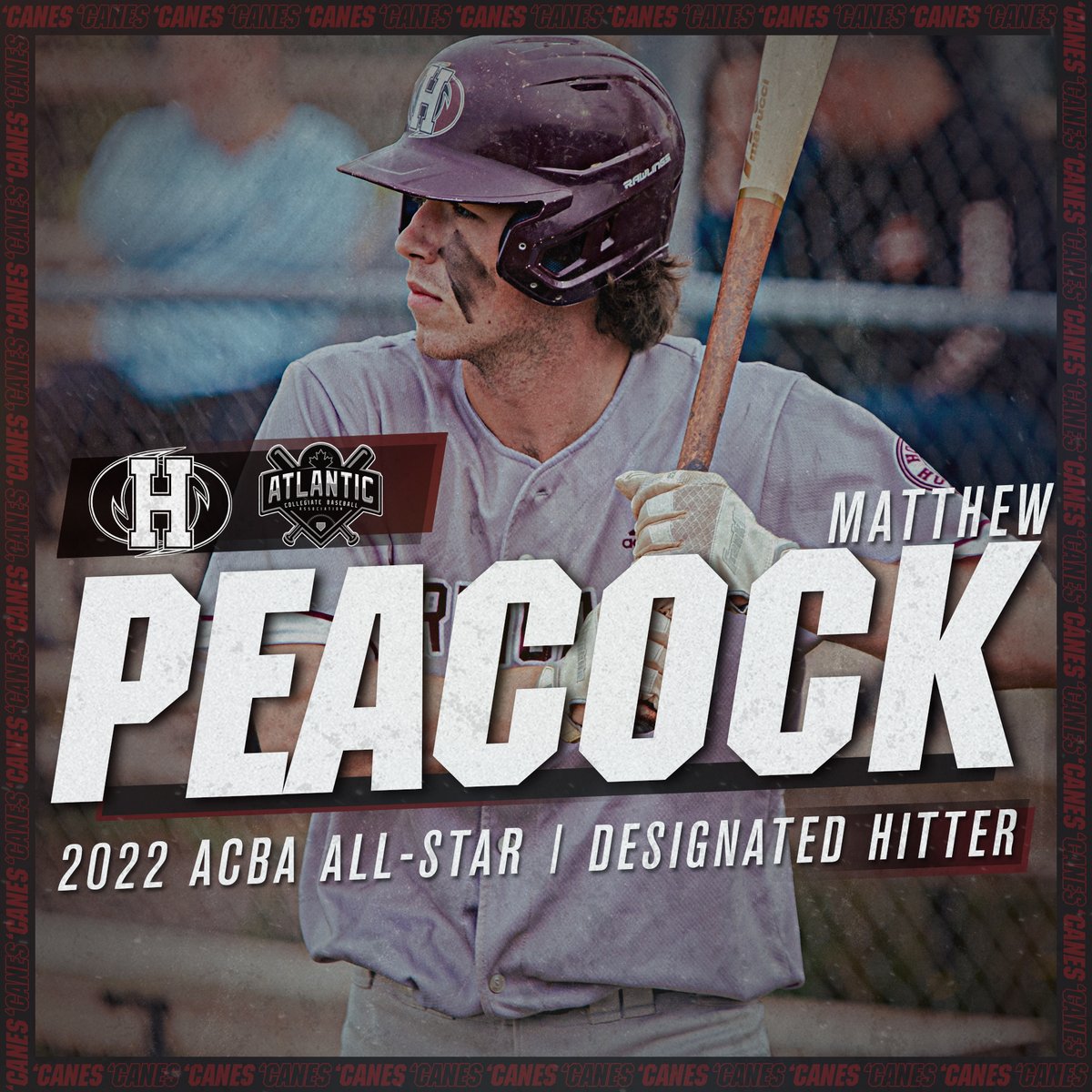 Holland Hurricanes tweet media