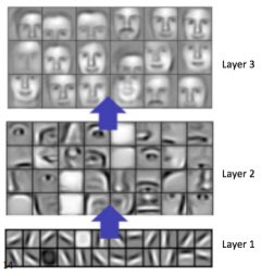 oxy__tocin's tweet photo. @TGoesh @ReinH Neural nets are already explainable in most cases with visualization and the weights would mean nothing to us depicted as code. Here’s a visualization of what triggers the “if statements” in the different layers of a deep neural net that is trained to detect faces in an image. https://t.co/x3sumOcBta